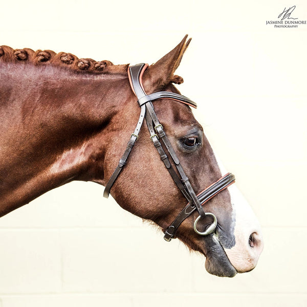 Amour Bridle Brown by Lumiere cob size