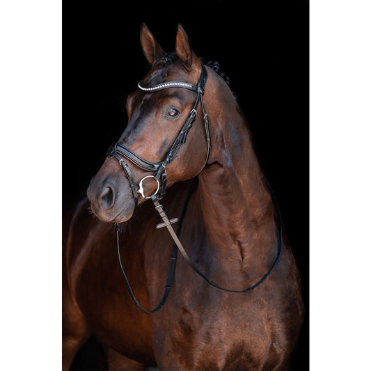 Anatomic Crystal Bridle HKM