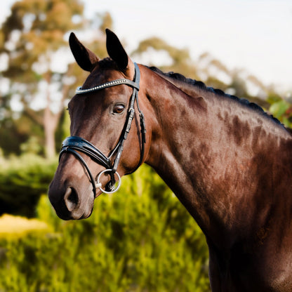 Aurelie Bridle with Flash Cob size by Lumiere