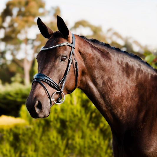 Aurelie Bridle with Flash Cob size by Lumiere