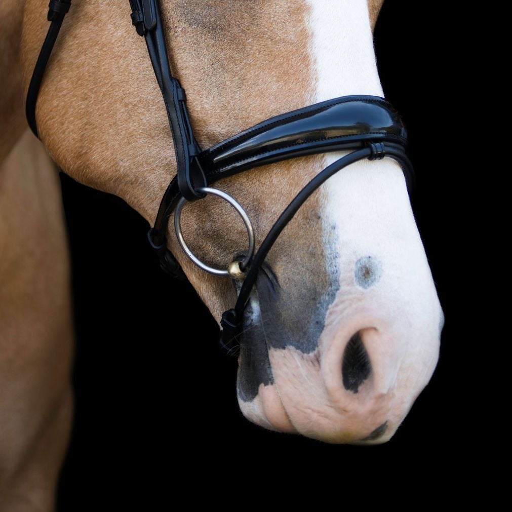 Aurelie Bridle with Flash Cob size by Lumiere