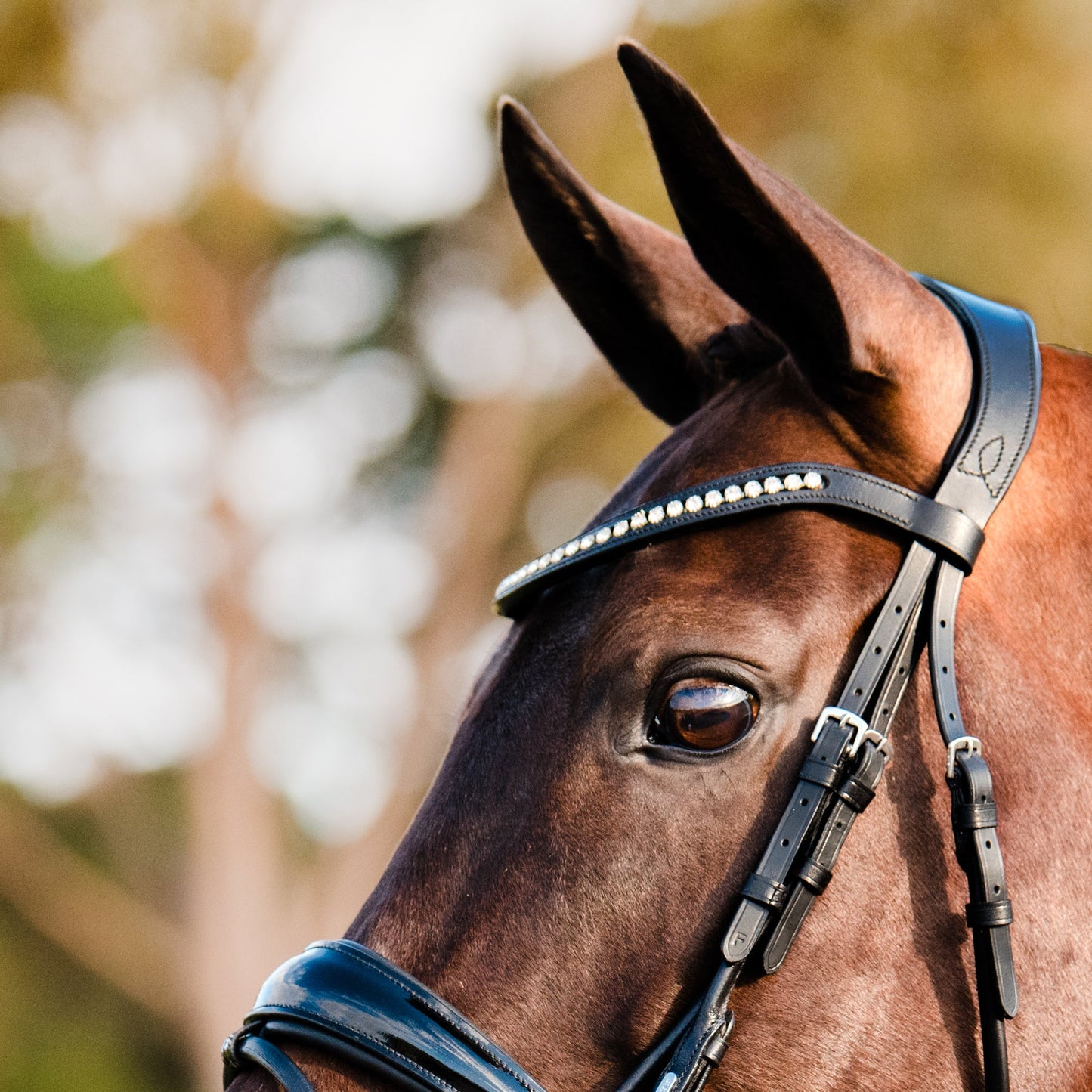 Aurelie Bridle with Flash Cob size by Lumiere