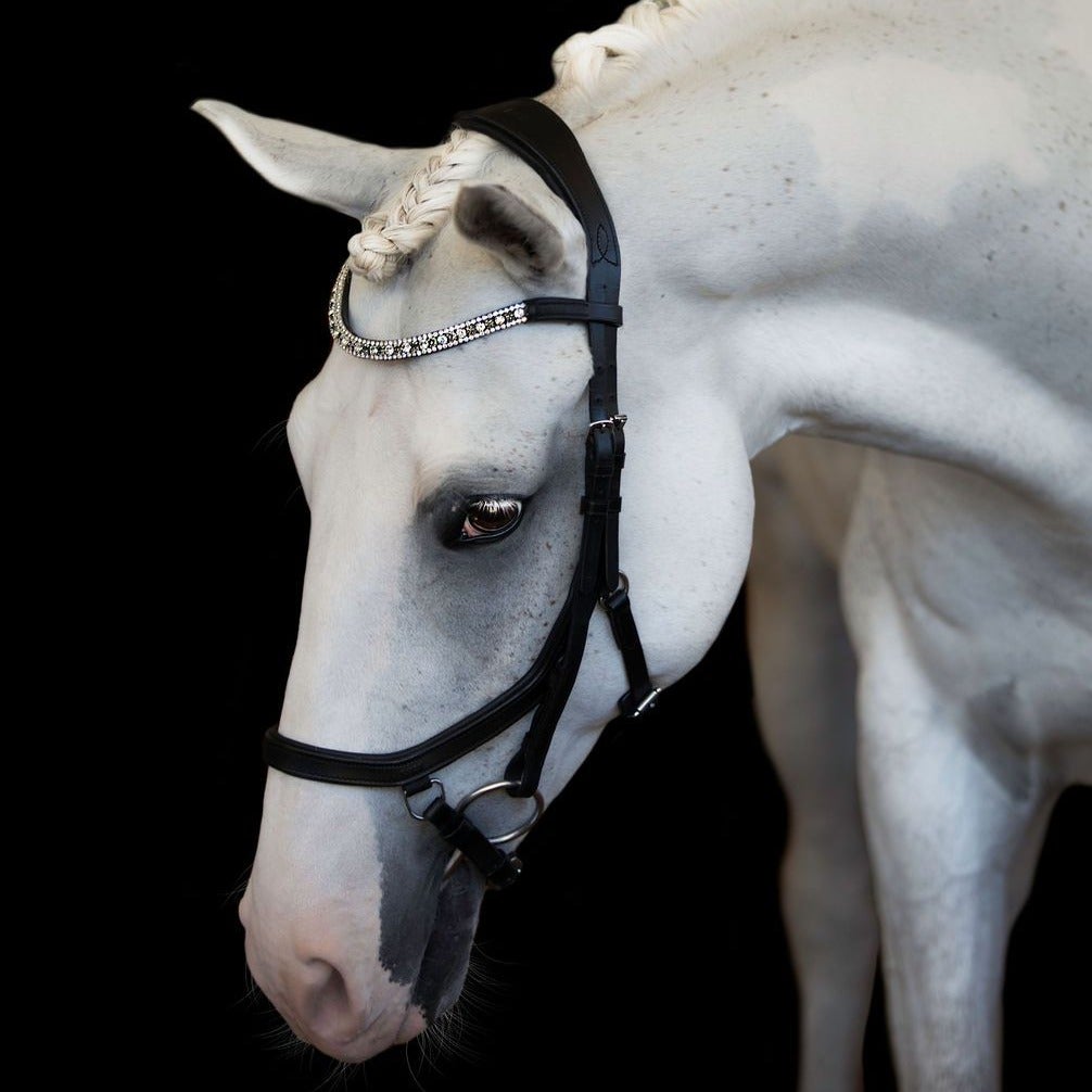 Azure Bridle (Euro Version) cob and pony size