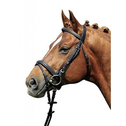 Bridle Lou Cob and Pony Size