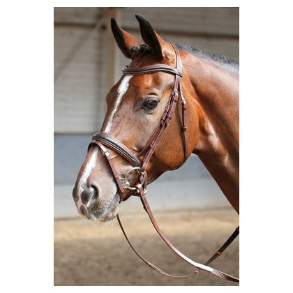 Harry's Horse Bridle Soft Brown
