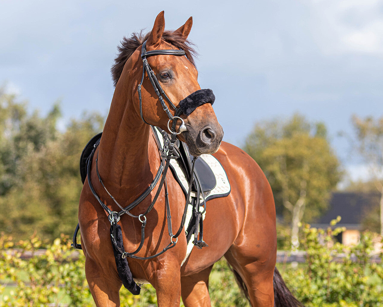 Fur Bridle Cover QHP 26 and 30cm