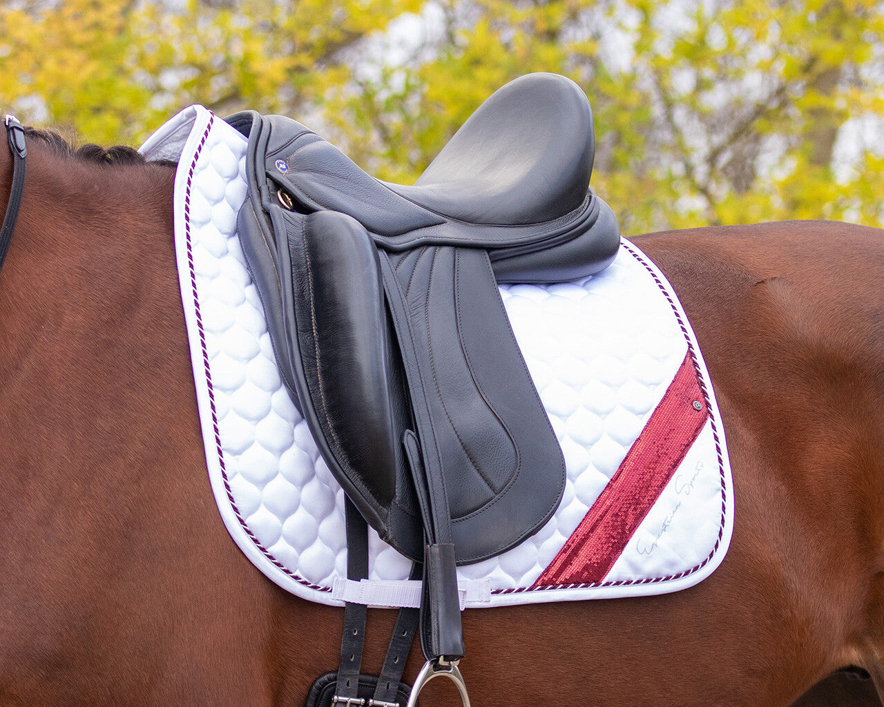 Saddle Pad Brilliance QHP full size