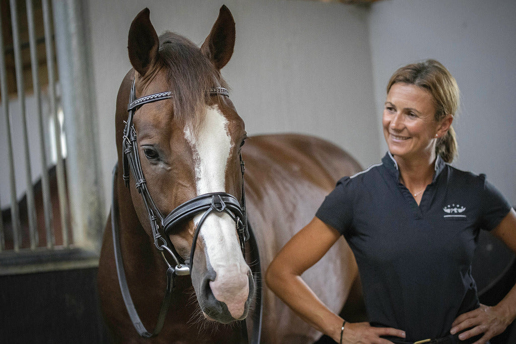 Penelope Daily Bridle Cob and Full Size