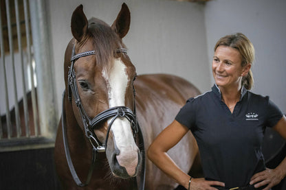 Penelope Daily Bridle Cob and Full Size