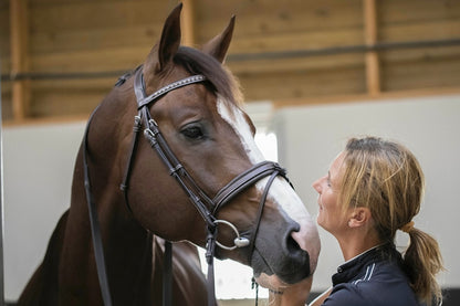 Penelope Daily Bridle Cob and Full Size