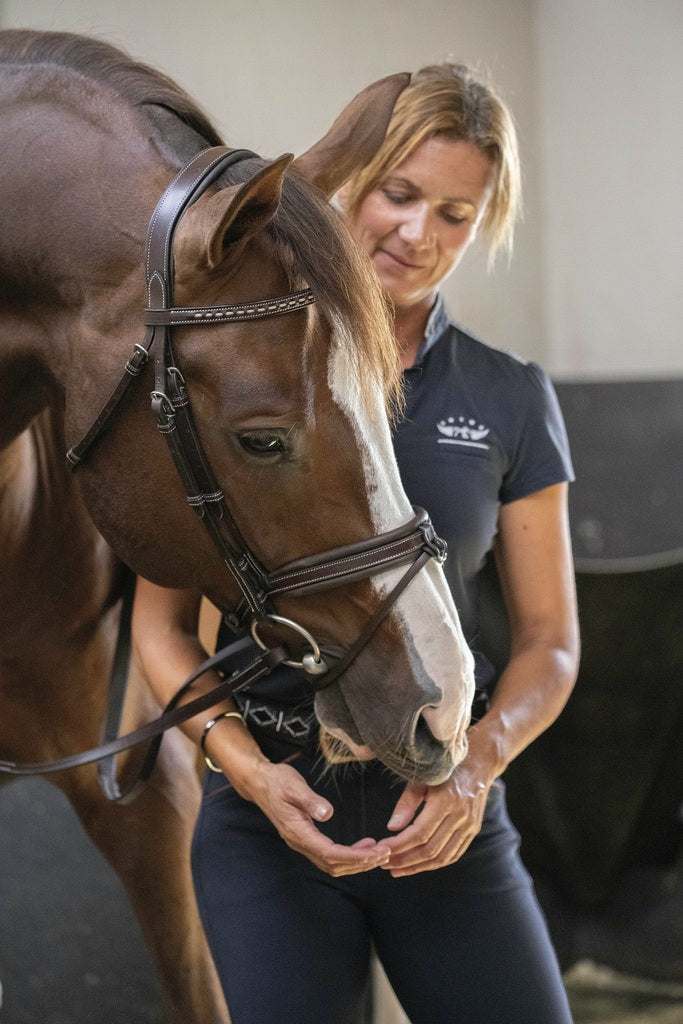 Penelope Daily Bridle Cob and Full Size