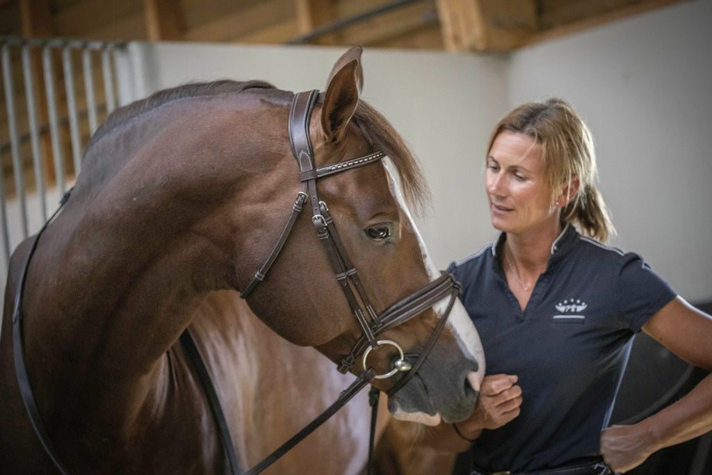 Penelope Daily Bridle Cob and Full Size