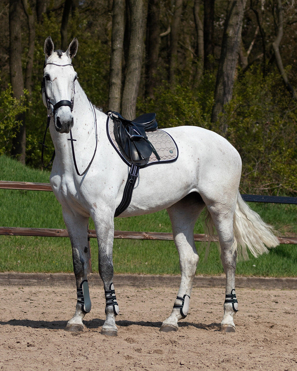 ElDorado AP Saddle Pad QHP Biscuit