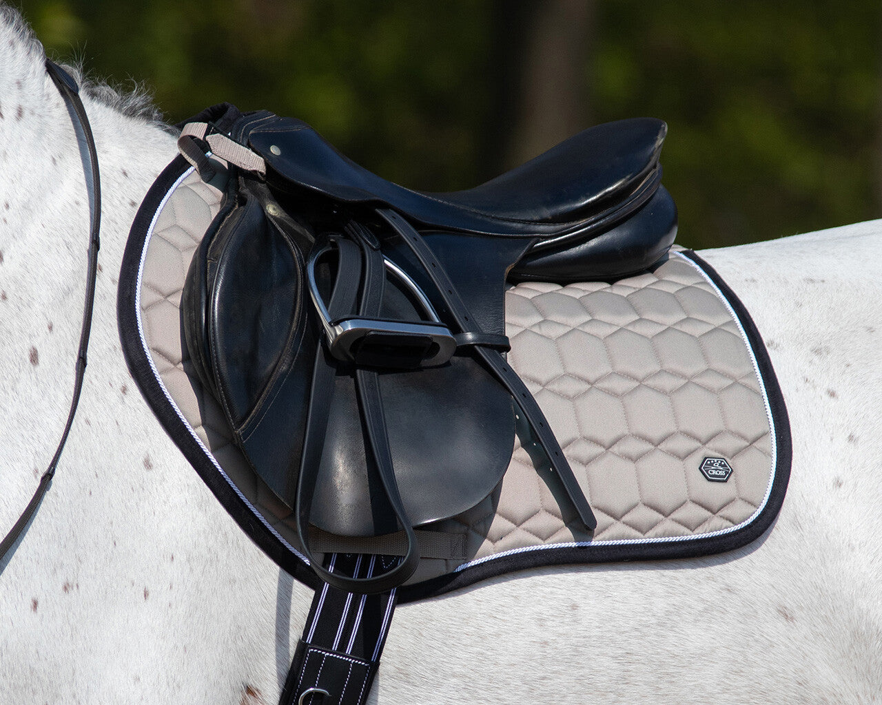 ElDorado AP Saddle Pad QHP Biscuit