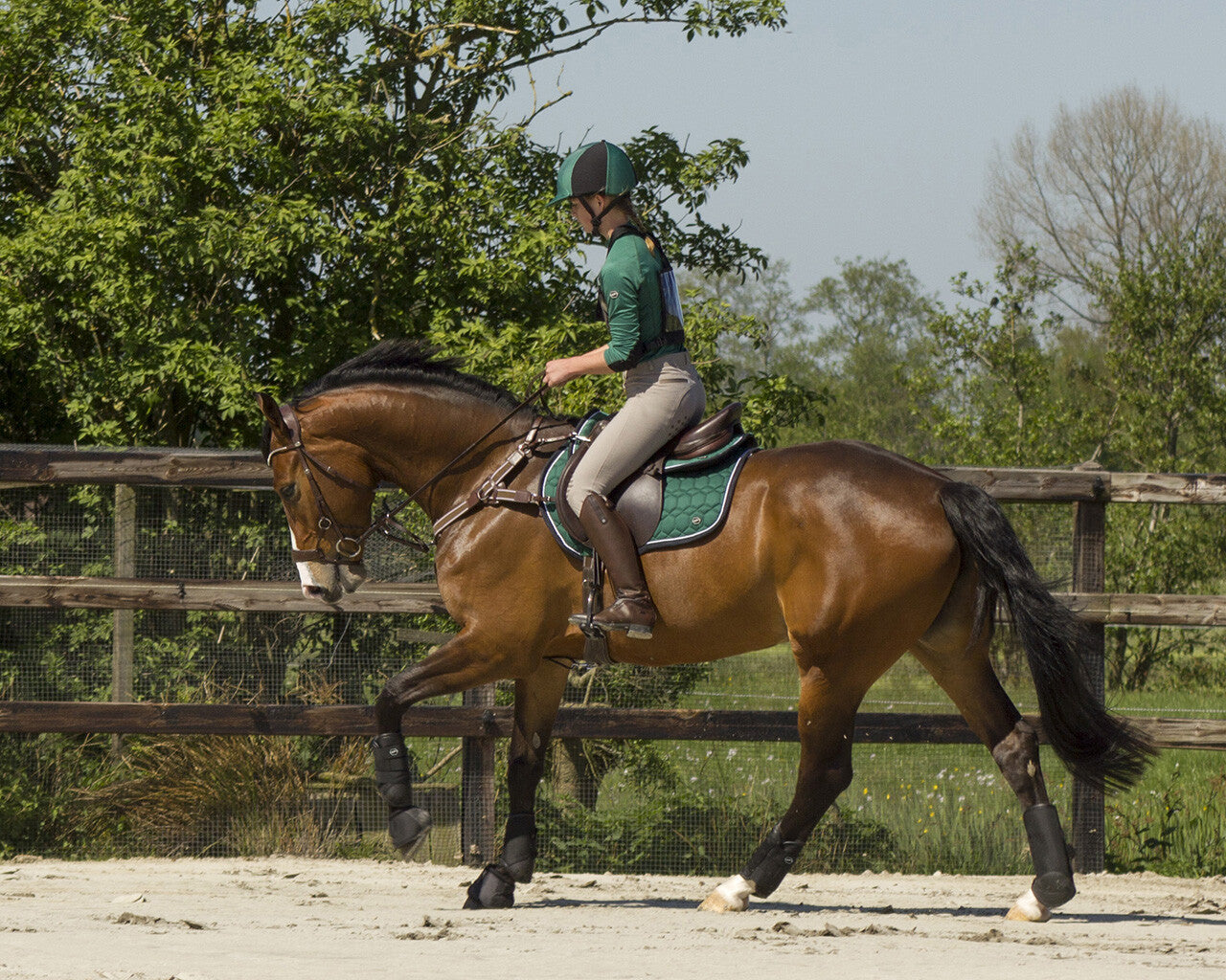 Technical Eventing boots QHP