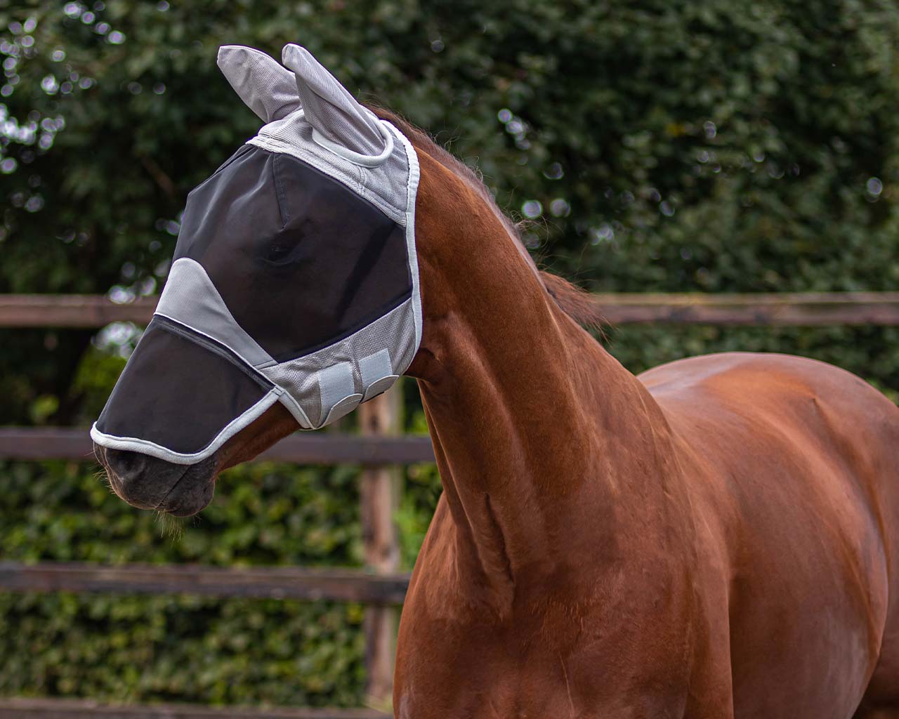 Fly Mask Solaire by QHP