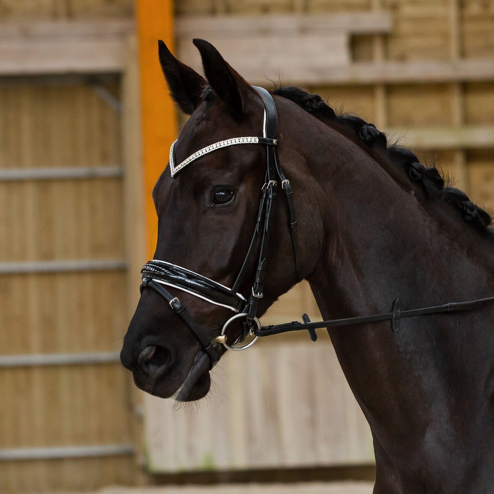 Horze Grayson Classic Dressage Ergonomic Bridle Cob and Pony Size