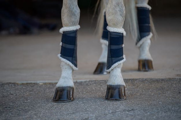 Harry's Horse Flextrainers boots