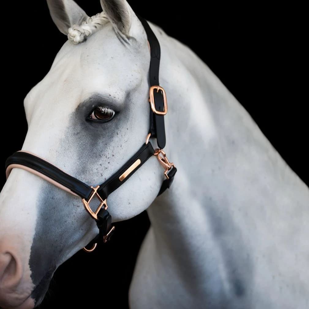 Hollywood Rose Gold Leather Halter by Lumiere