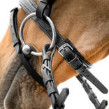 Pony Size Athena Bridle detail