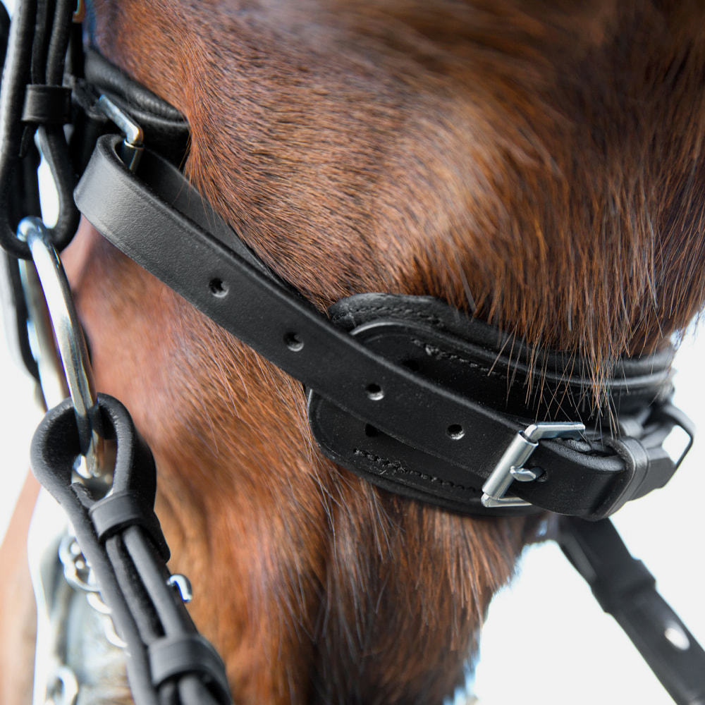 Horze Laelia Wymouth Dressage Bridle