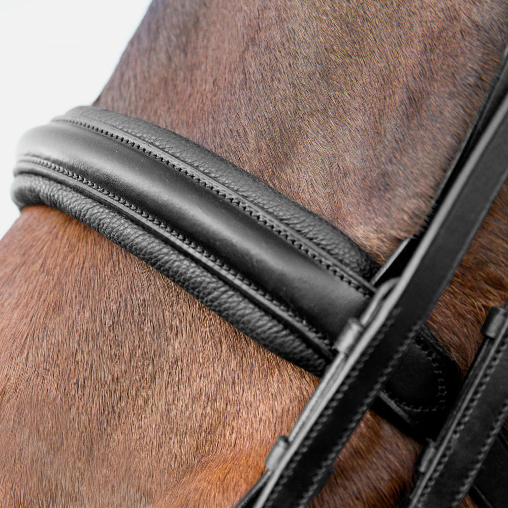 Horze Vienna Weymouth Bridle
