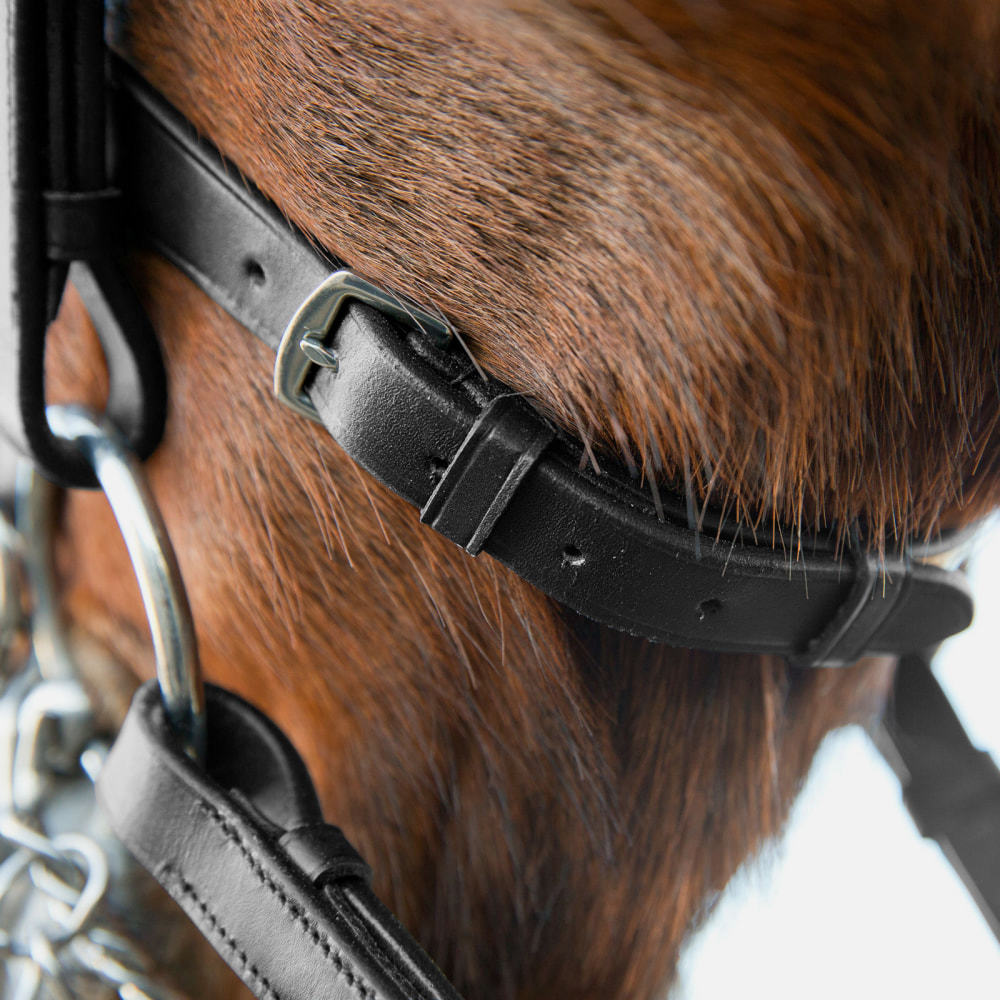Full and Cob Size Weymouth Bridles