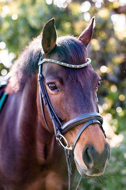 Thinline Bridle with flash Cob size