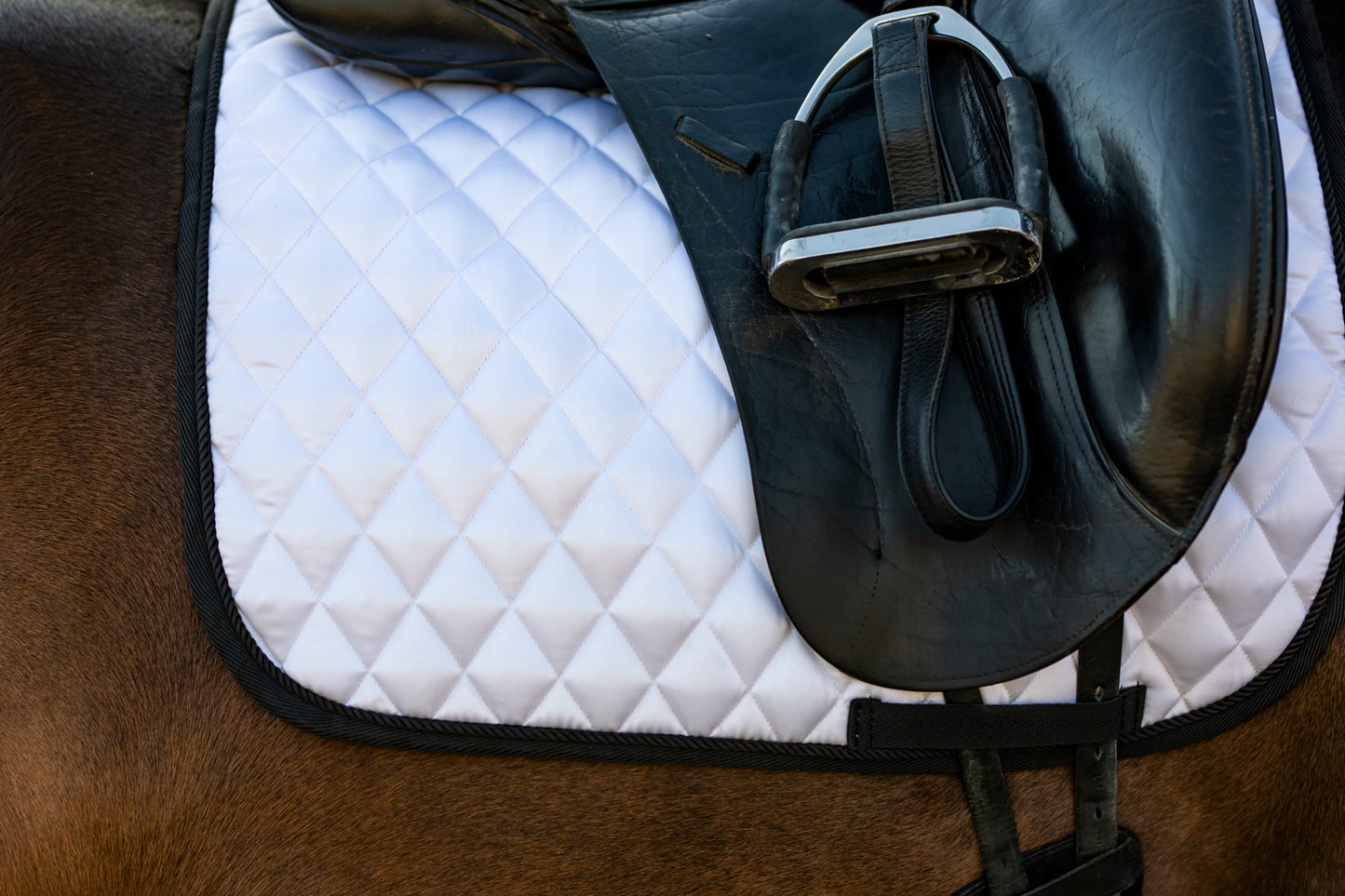 Melody dressage saddle pad cob size