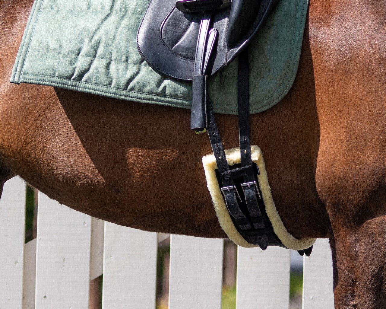 Ontario Dressage Girth Cob and Pony Size