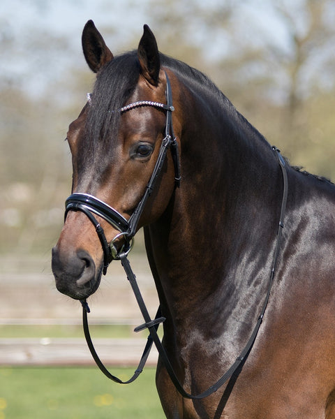 Parla Bridle by QHP Pony and Cob Sizes