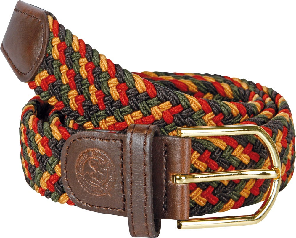 Elastic Belt- Quinn Harry's Horse