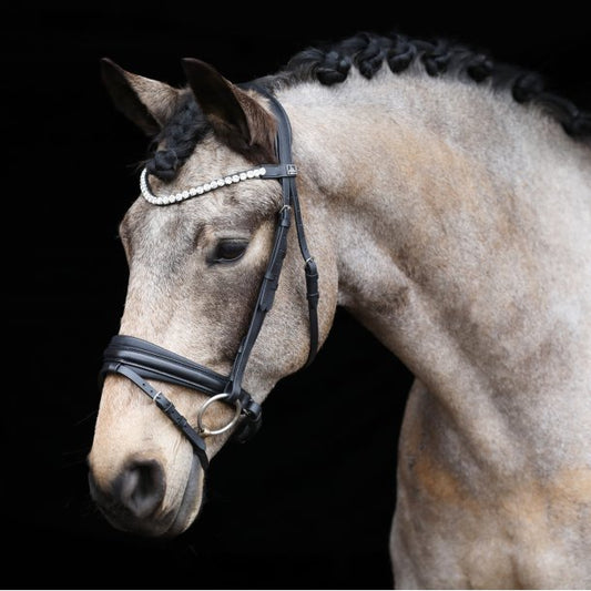 L'Unique Bridle by SD Design Cob and Pony Size