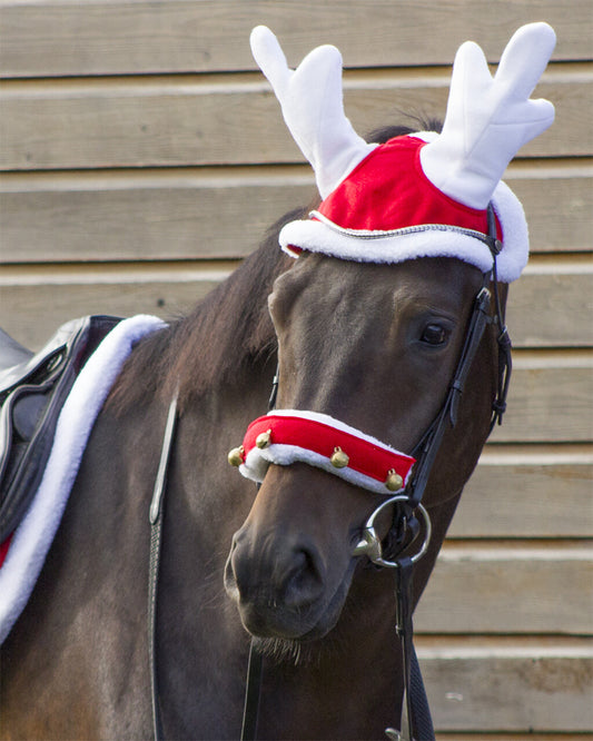 Christmas Reindeer Hat