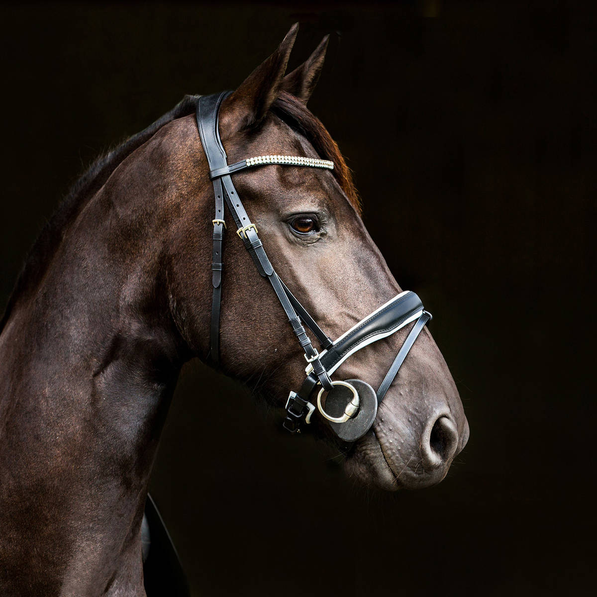 Horze Rohan Snaffle Bridle Cob and Pony Size