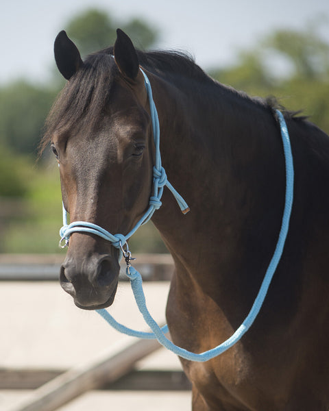Rope halter with rein QHP pony size