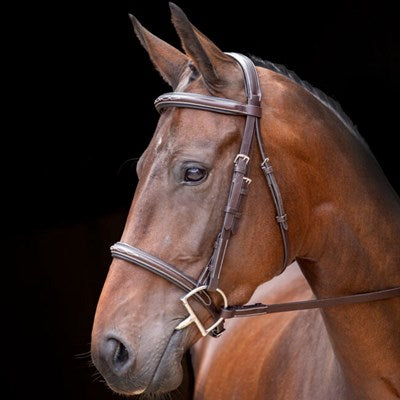 Rossano Amalfi Bridle by Shires