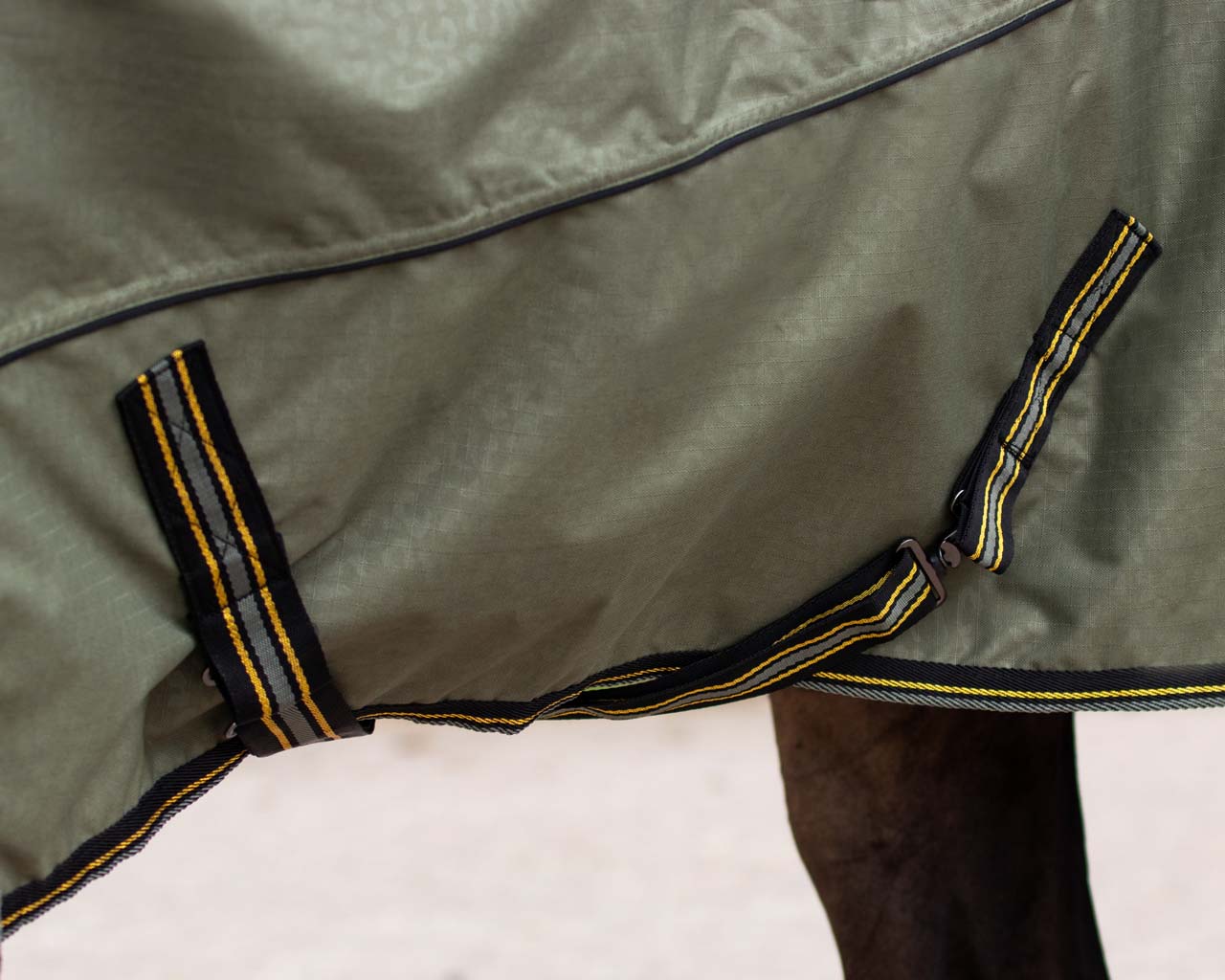 Fleece Lined turnout Rug by QHP