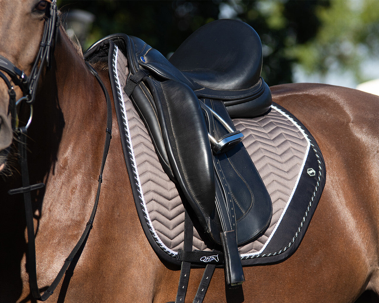 Shiva Saddle Pad QHP