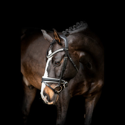 SD Design Silvano Bridle