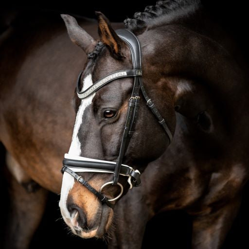 SD Design Silvano Bridle