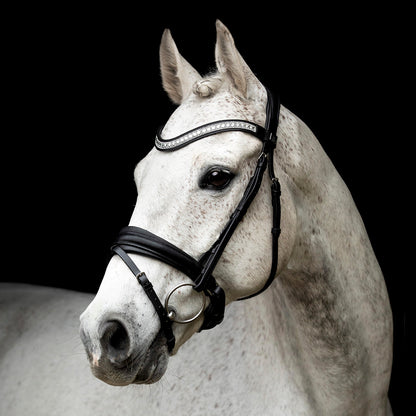 SD Design Silvano Bridle