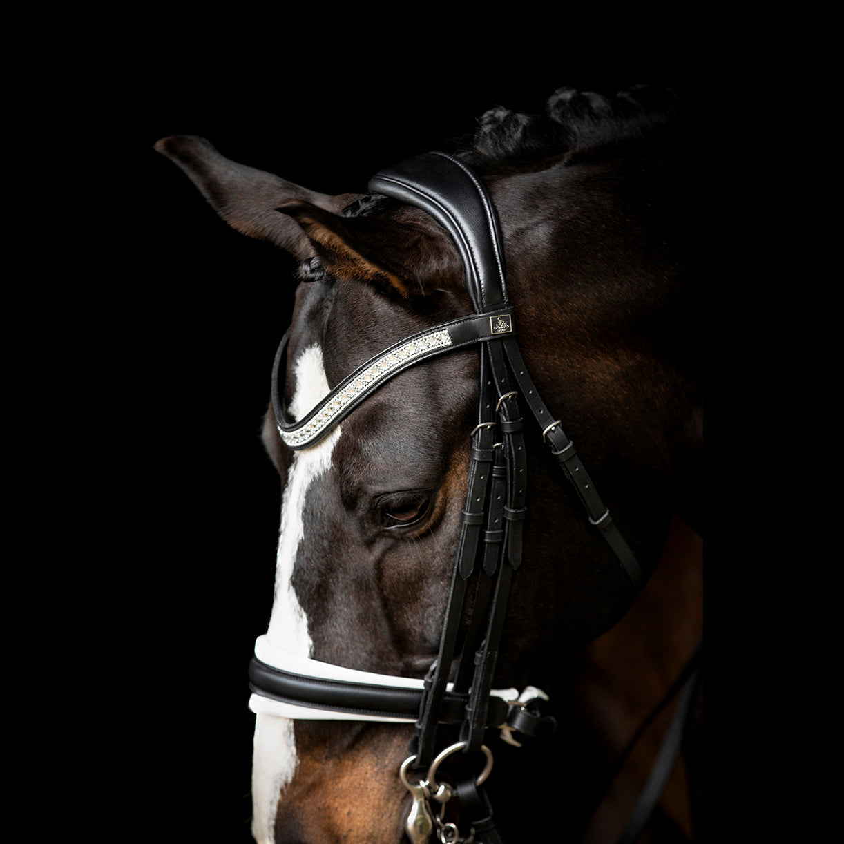 SD-Design Silvano Double Bridle