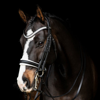 SD-Design Silvano Double Bridle