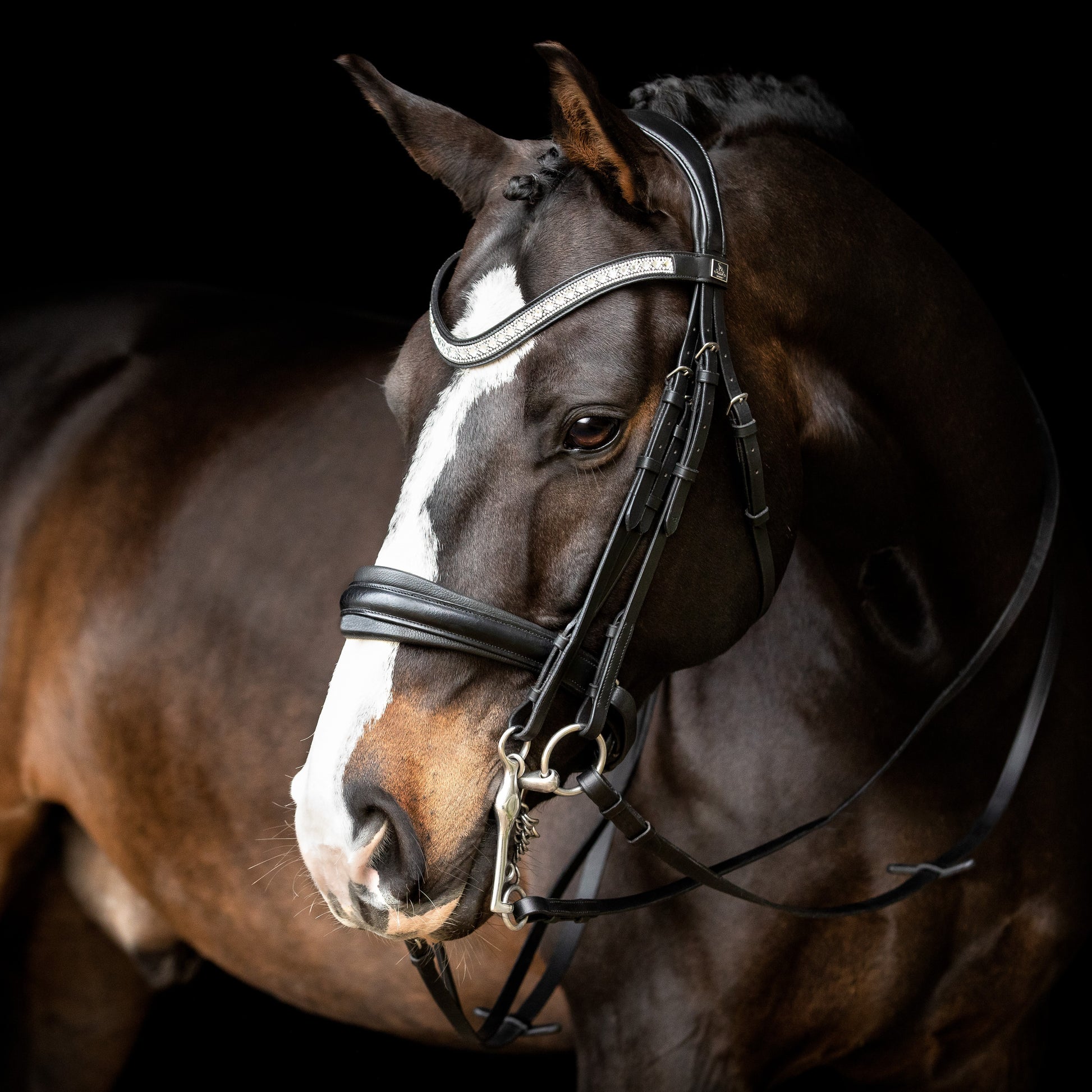 SD Design Silvano Double Bridle