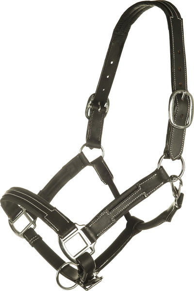 Soft Leather Head Collar by HKM