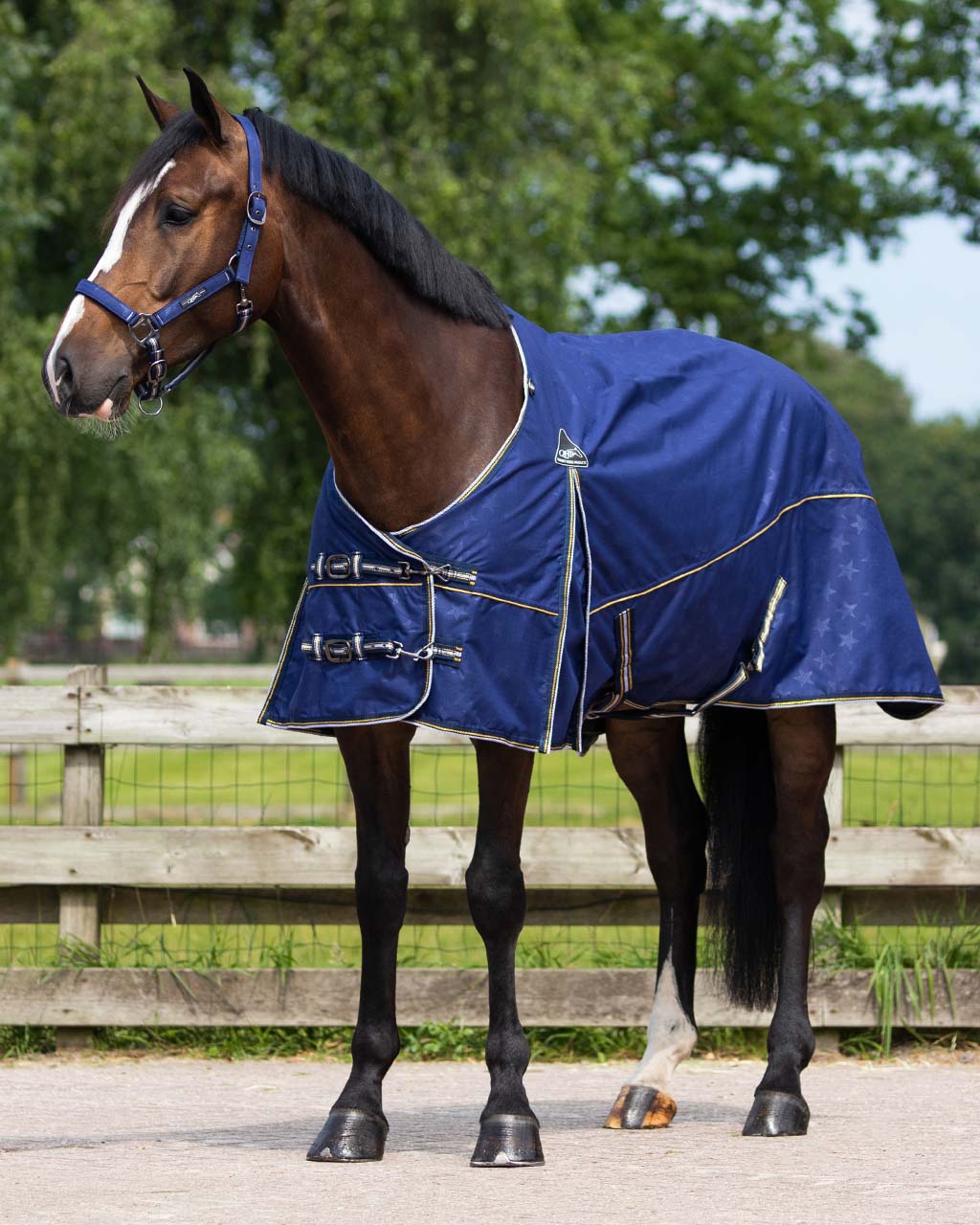 Fleece Lined turnout Rug by QHP