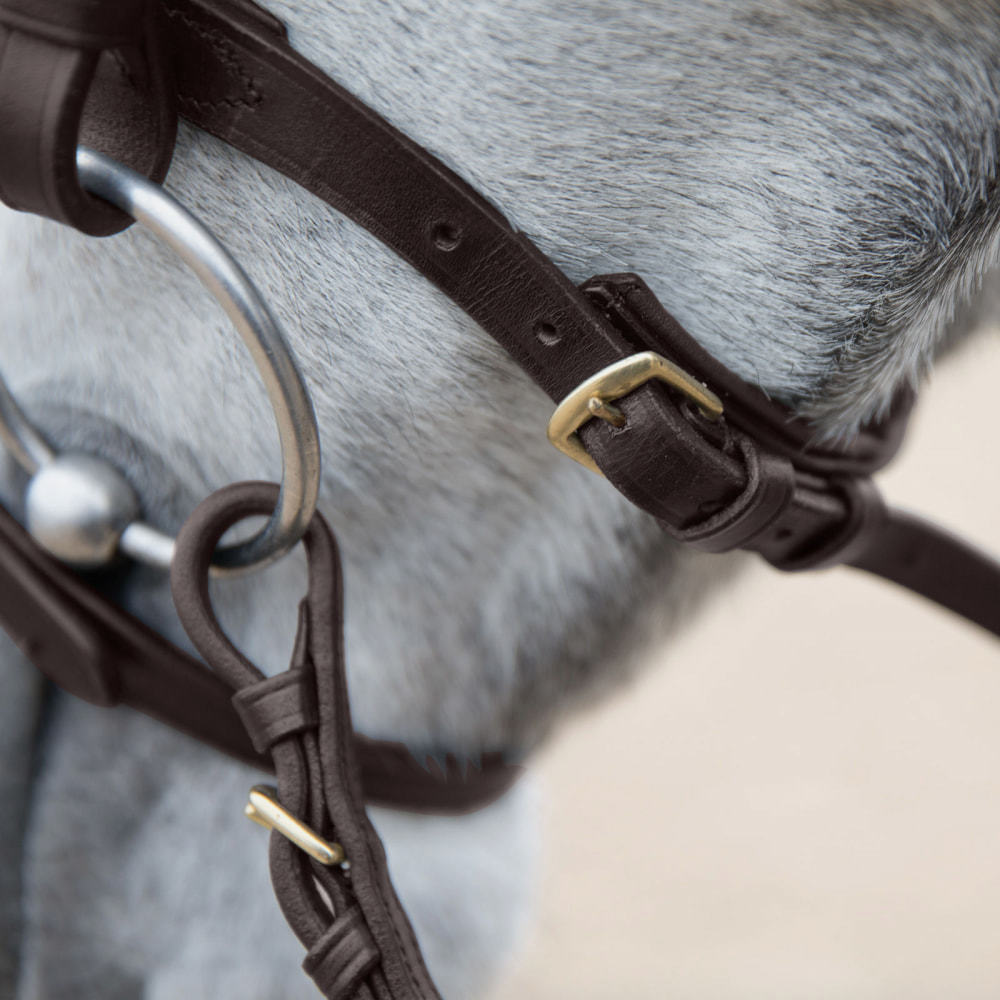 Trajan Snaffle bridle pony size