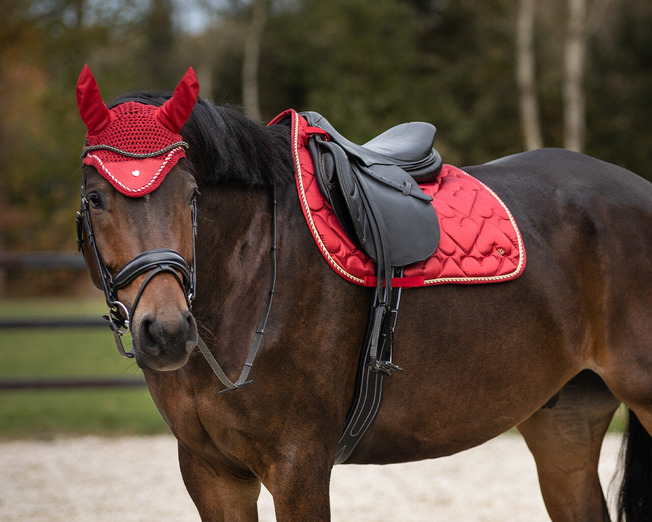 Saddle Pad Valentine by QHP