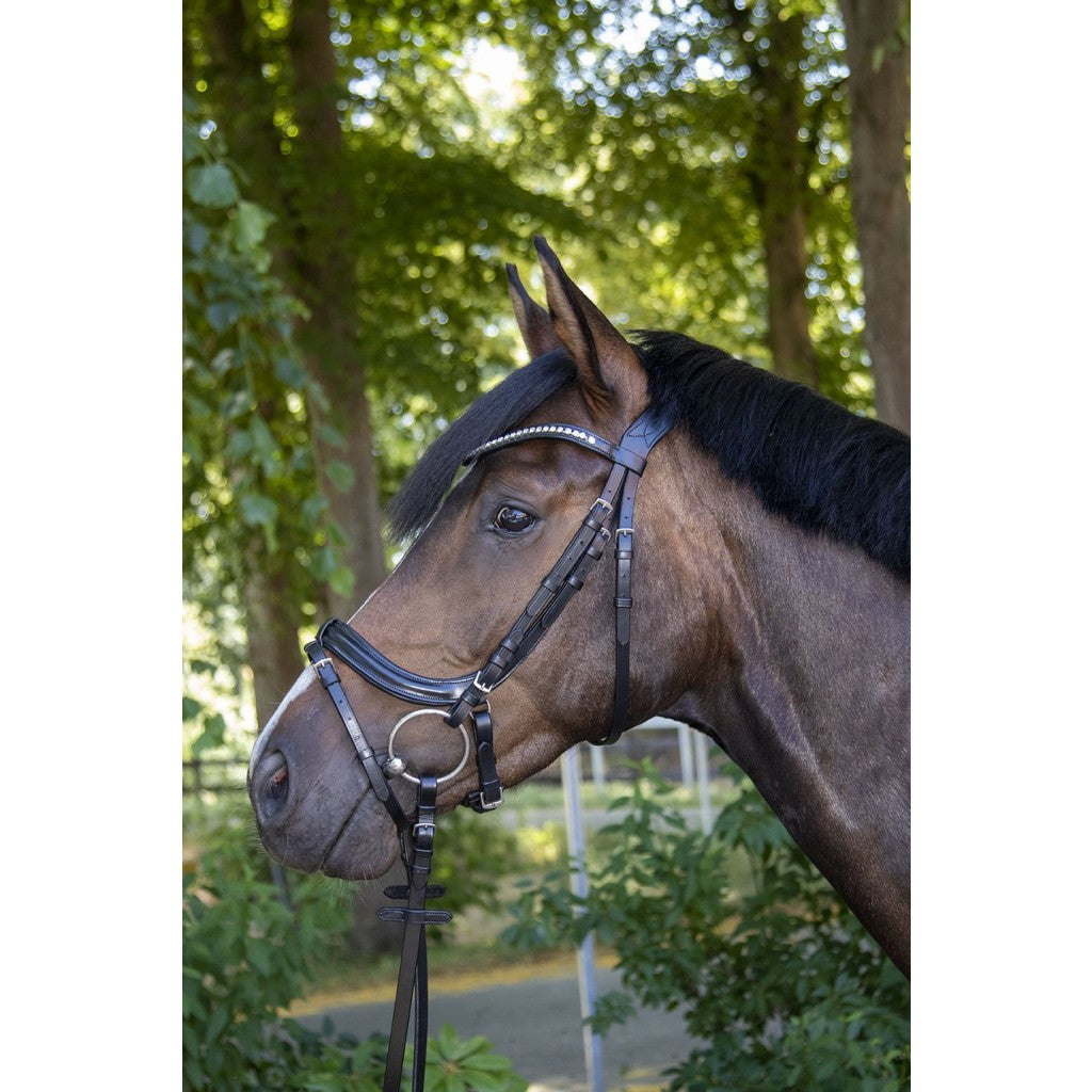 Anatomic Crystal Bridle HKM